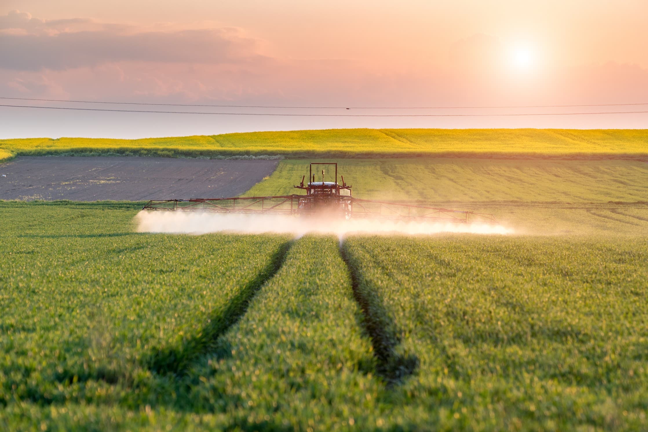 Pulverização agrícola em lavoura